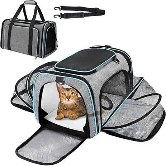 Sac à Dos de Transport pour Chat et Chien - Portable Respirant Pliable