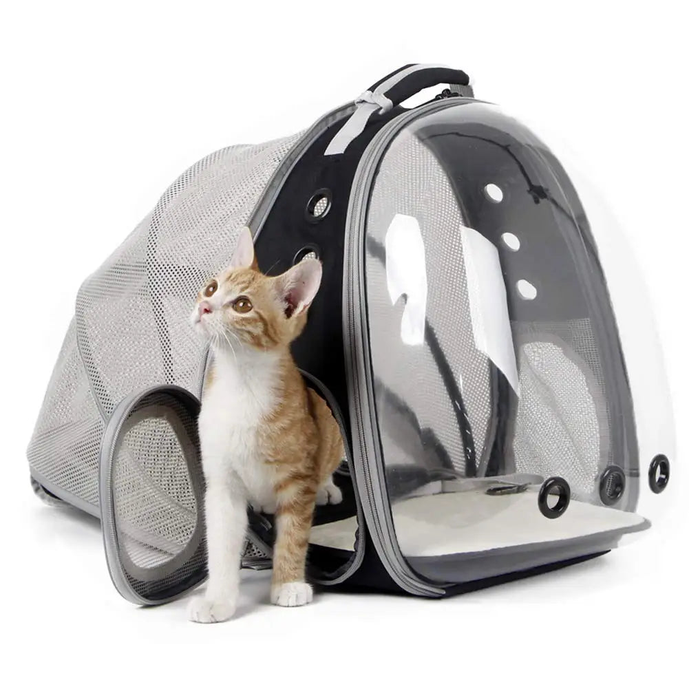 Sac à Dos Extensible pour Chat - Transporteur Portable pour Voyage