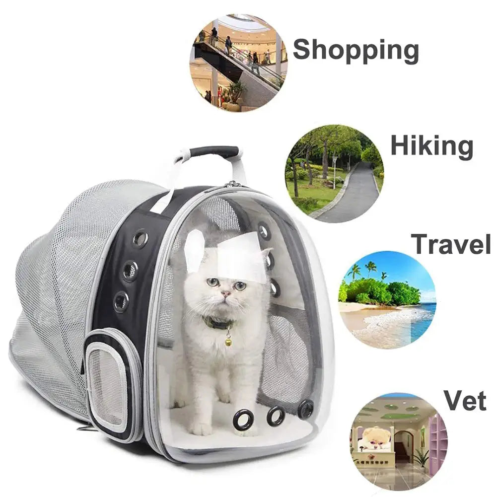 Sac à Dos Extensible pour Chat - Transporteur Portable pour Voyage