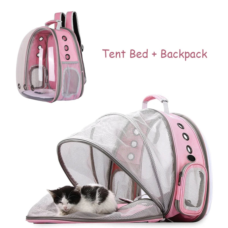 Sac à Dos Extensible pour Chat - Transporteur Portable pour Voyage