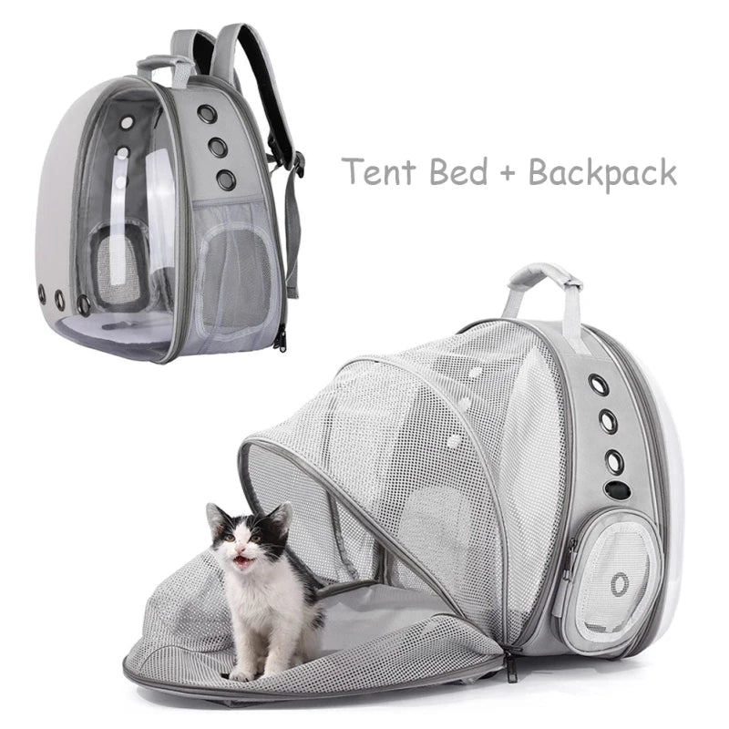 Sac à Dos Extensible pour Chat - Transporteur Portable pour Voyage