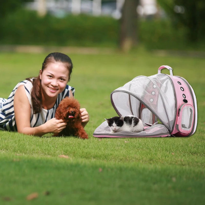 Sac à Dos Extensible pour Chat - Transporteur Portable pour Voyage