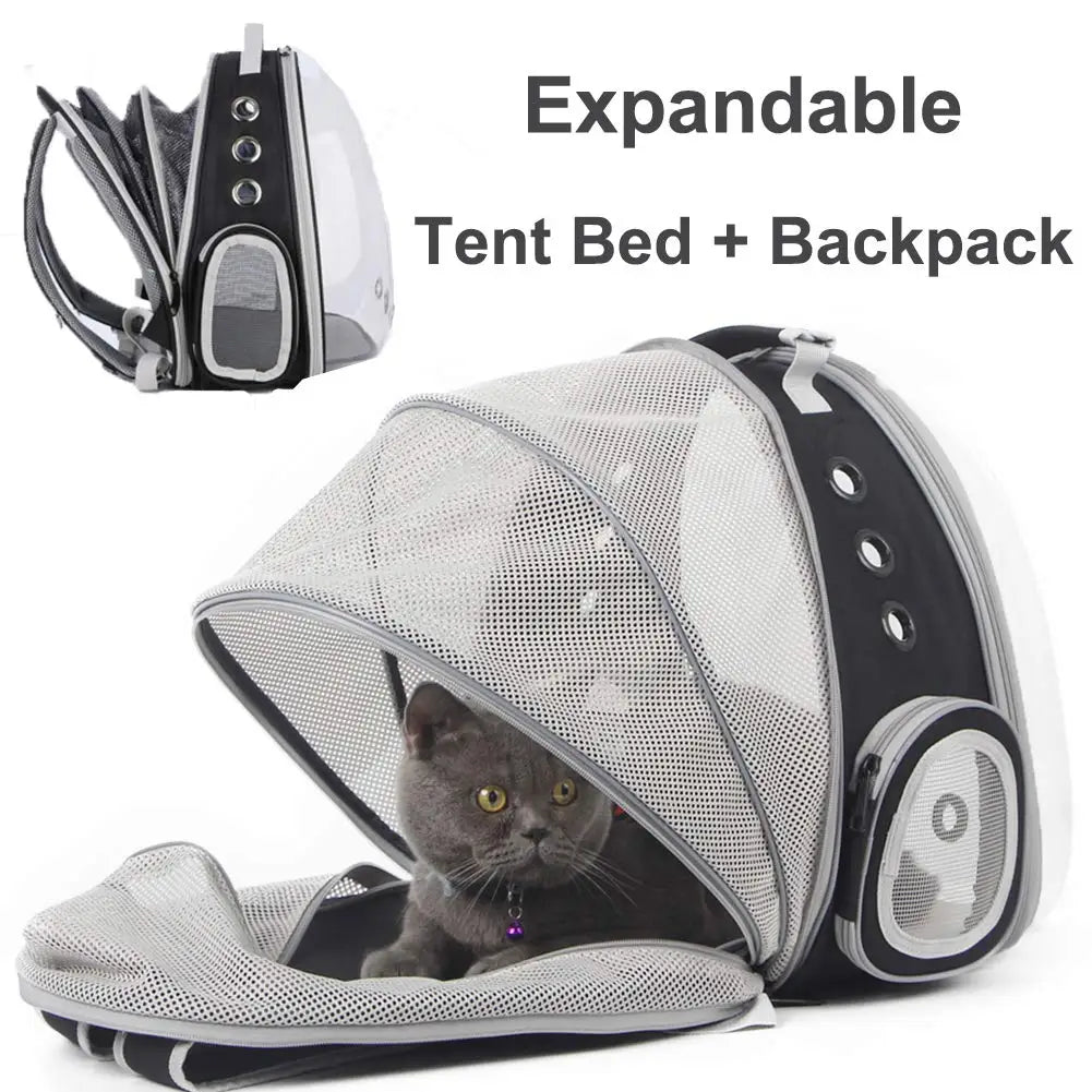 Sac à Dos Extensible pour Chat - Transporteur Portable pour Voyage