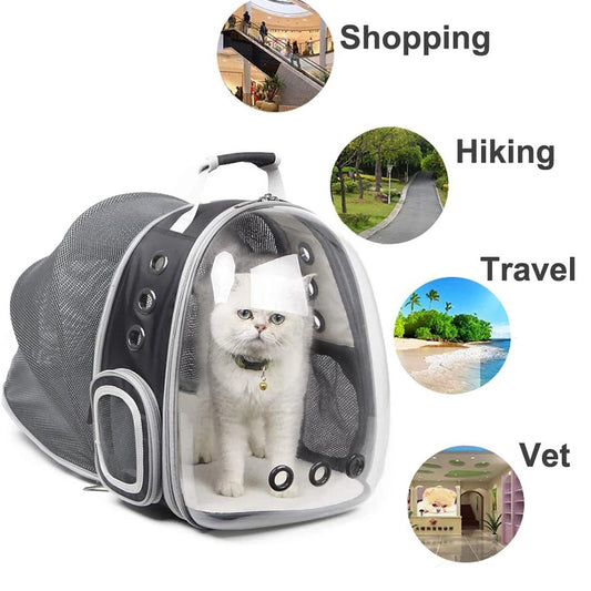 Sac à Dos Extensible pour Chat - Transporteur Portable pour Voyage