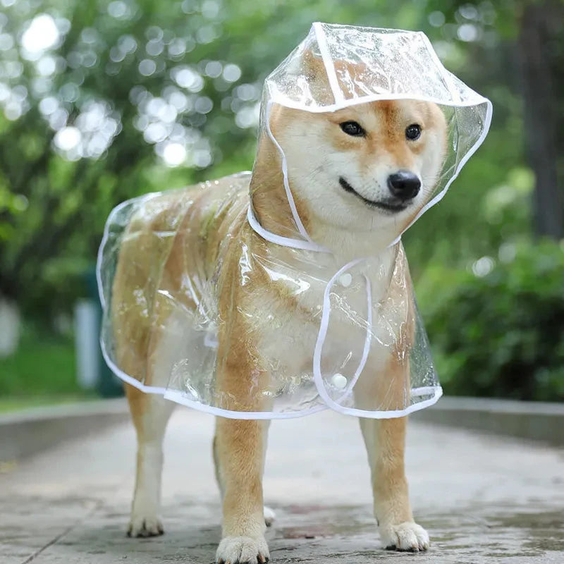 Chubasquero transparente con capucha para perros - Impermeable - Accesorios para mascotas