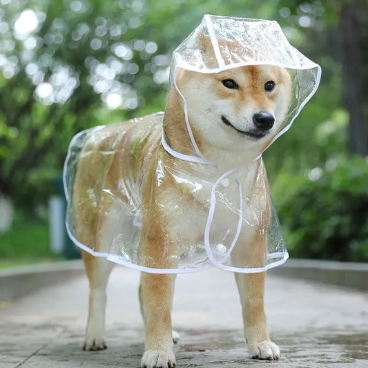 Imperméable Transparent pour Chien avec Capuche - Manteau Pluie Étanche.