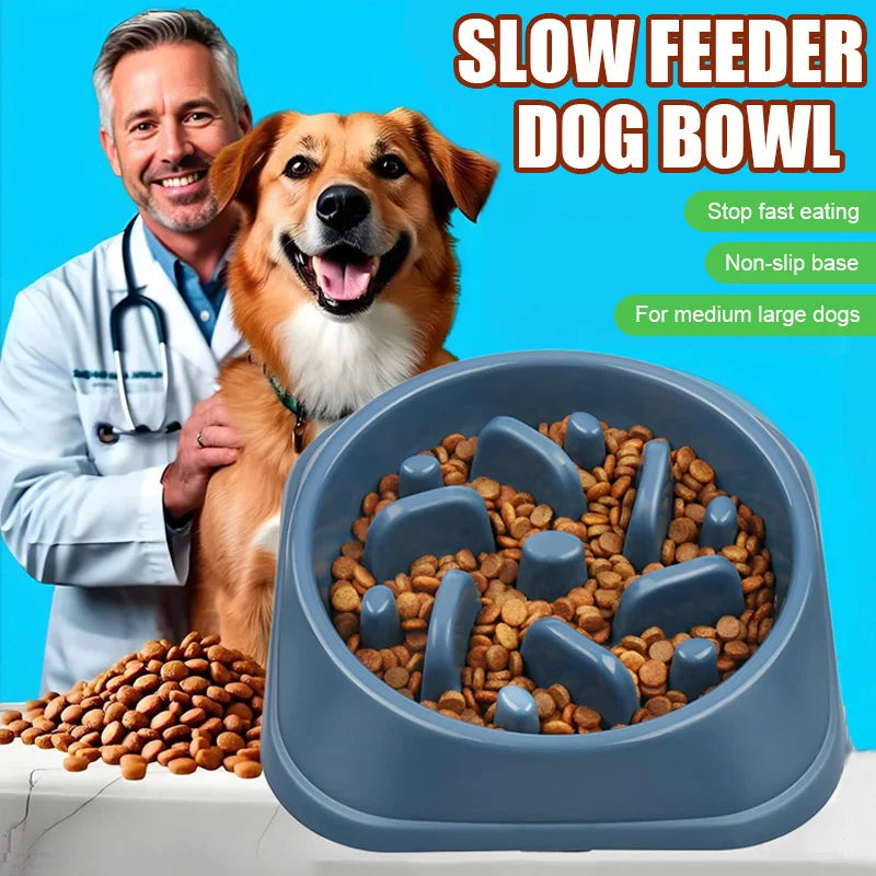 Gamelle Anti-Glouton Chien Puzzle - Bol Alimentation Lente Antidérapant