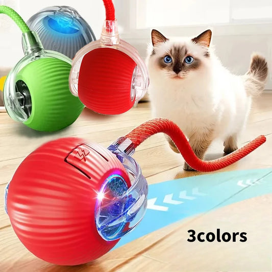 Balle Interactive Chat Automatique Rechargeable - Jouet Électrique Capteur | AccessoiresAnimals