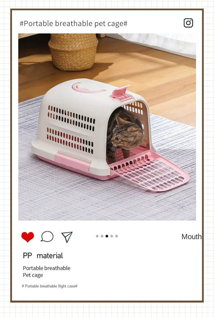 Cage Transport Plastique Chat Chien Portable Aviation - Boîte Voyage Voiture