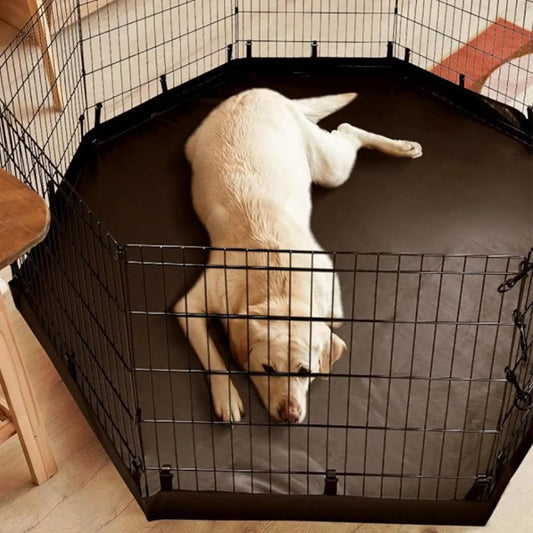 Alfombra Oxford lavable e impermeable para juegos de perros y gatos - Alfombra de entrenamiento para cachorros | Accesorios para mascotas