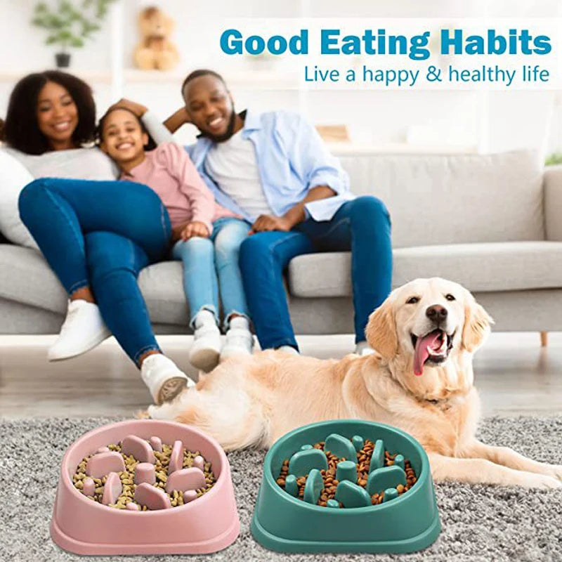 Gamelle Anti-Glouton Chien Puzzle - Bol Alimentation Lente Antidérapant