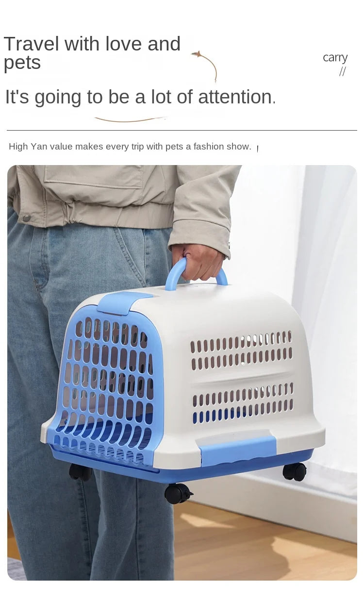 Cage Transport Plastique Chat Chien Portable Aviation - Boîte Voyage Voiture