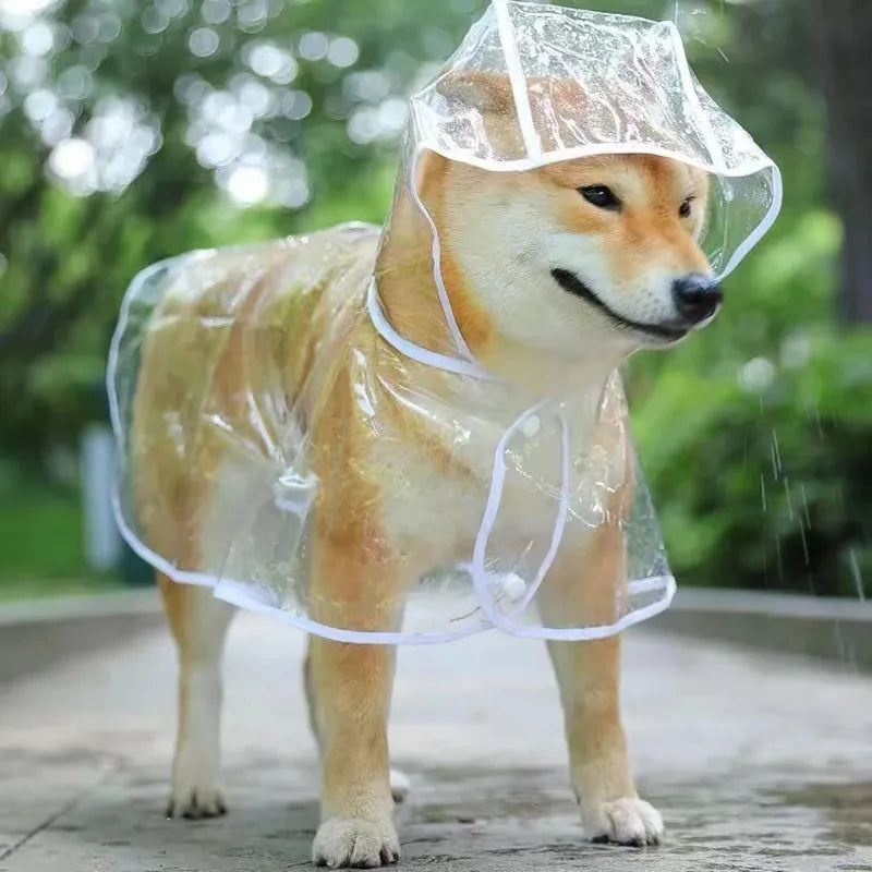 Chubasquero transparente con capucha para perros - Impermeable - Accesorios para mascotas
