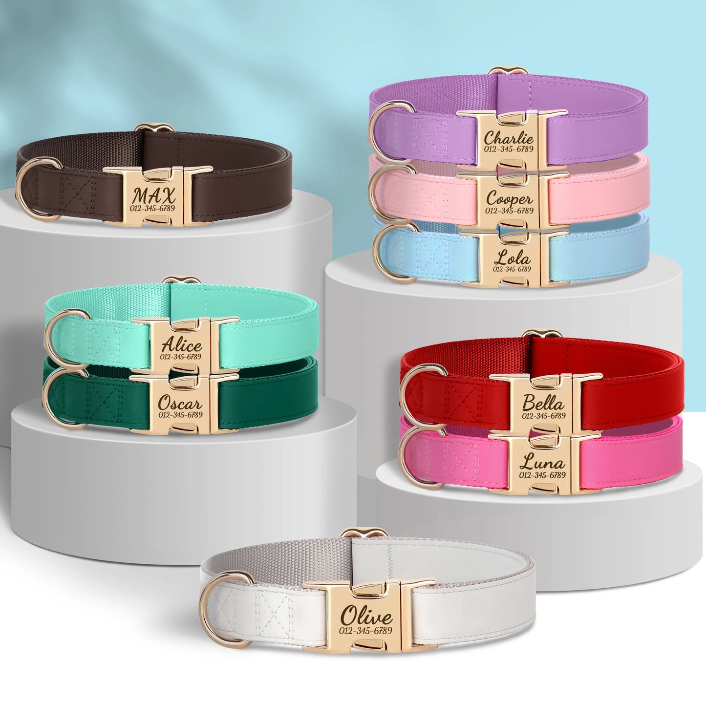 Collier Chien Personnalisé Cuir Gravure Gratuite - Anti-Perte Bulldog Carlin