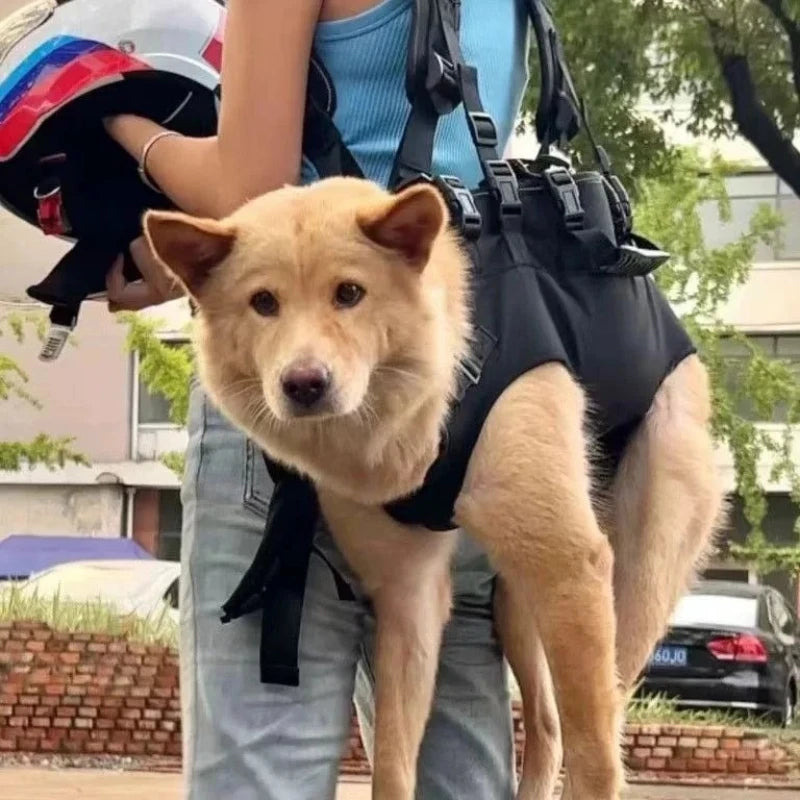 Sac de Transport Ventral pour Chien Chat - Sac à Dos Confortable pour Animaux
