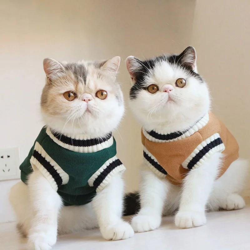 Suéter de invierno cálido para perros y gatos - Chaleco/Chaqueta para perros pequeños y gatitos | Accesorios para mascotas