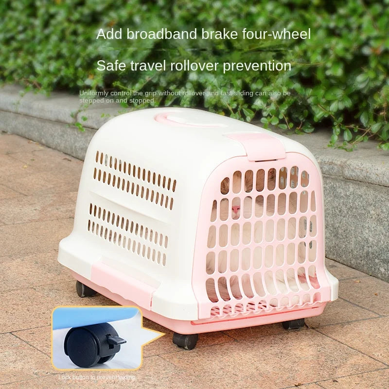 Cage Transport Plastique Chat Chien Portable Aviation - Boîte Voyage Voiture