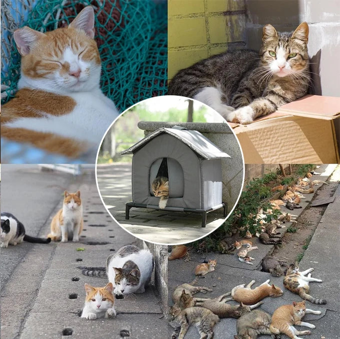 Niche Chat Chien Extérieur Imperméable Hiver - Abri Pliable Lavable