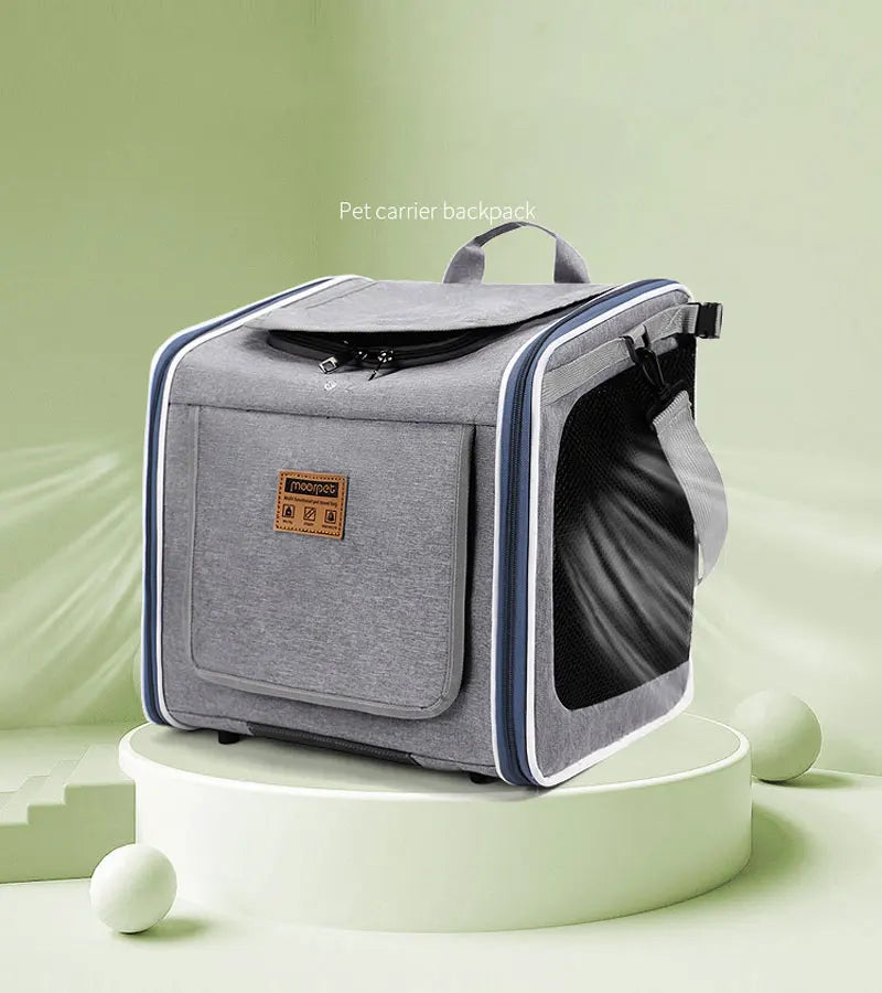 Sac Vélo Chat Chien Portable - Panier Transport Moto Extérieur