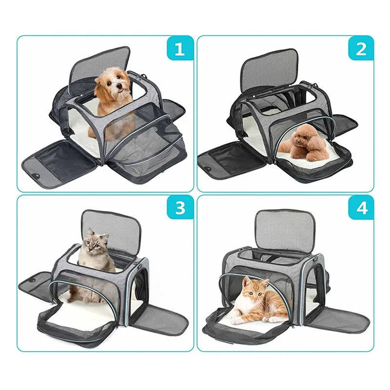 Sac à Dos de Transport pour Chat et Chien - Portable Respirant Pliable