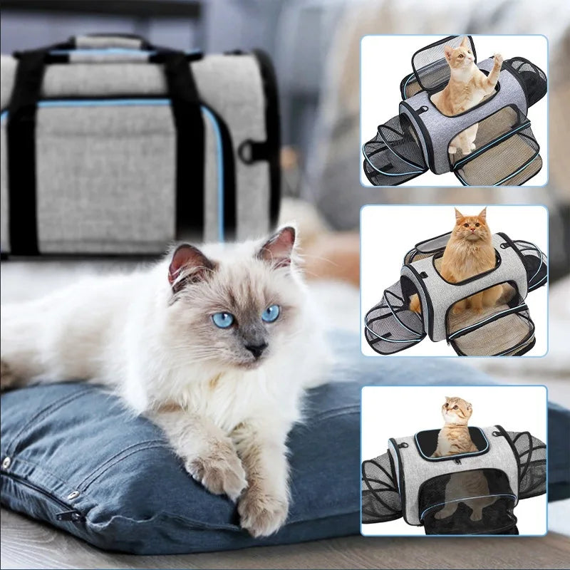 Sac à Dos de Transport pour Chat et Chien - Portable Respirant Pliable