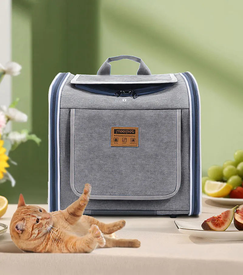 Sac Vélo Chat Chien Portable - Panier Transport Moto Extérieur