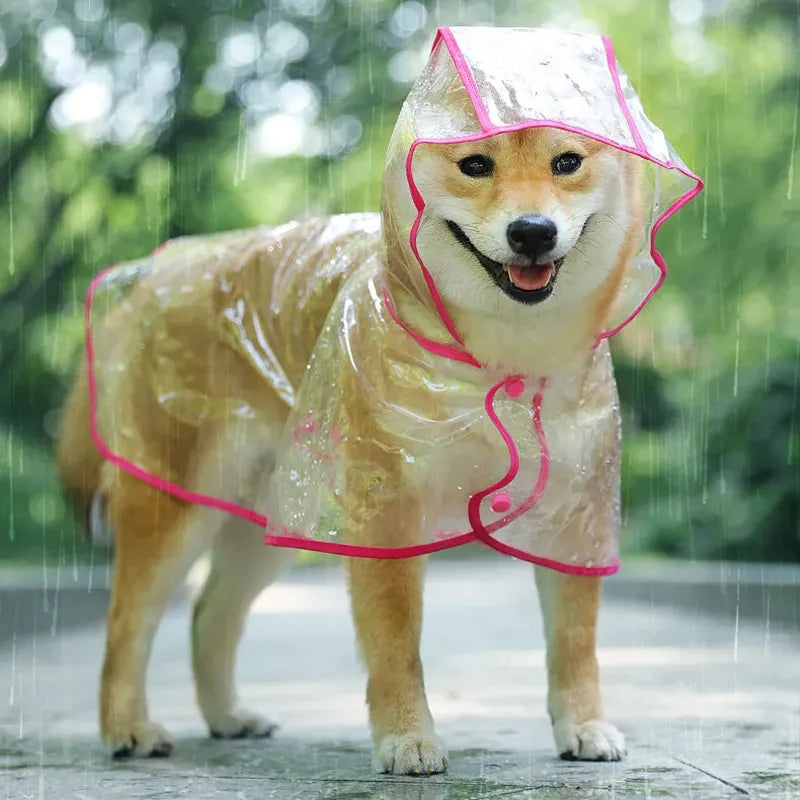 Chubasquero transparente con capucha para perros - Impermeable - Accesorios para mascotas