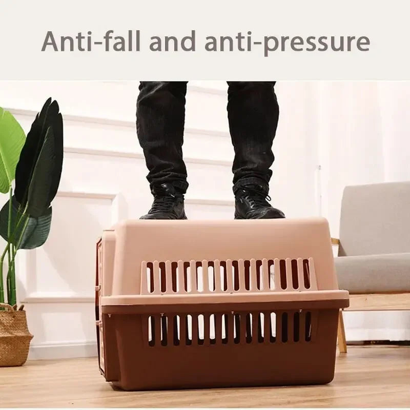 Cage Transport Chat Chien Portable Toit Articulé - Voyage Avion Voiture | AccessoiresAnimals