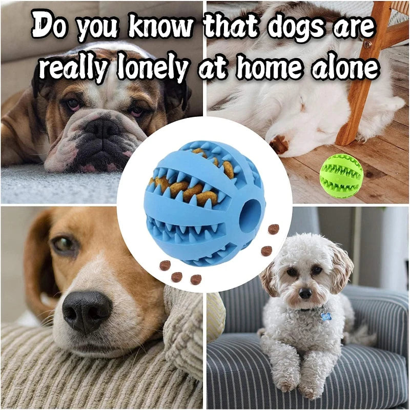Balle Jouet Chien Caoutchouc Interactive - Nettoyage Dents Distributeur.