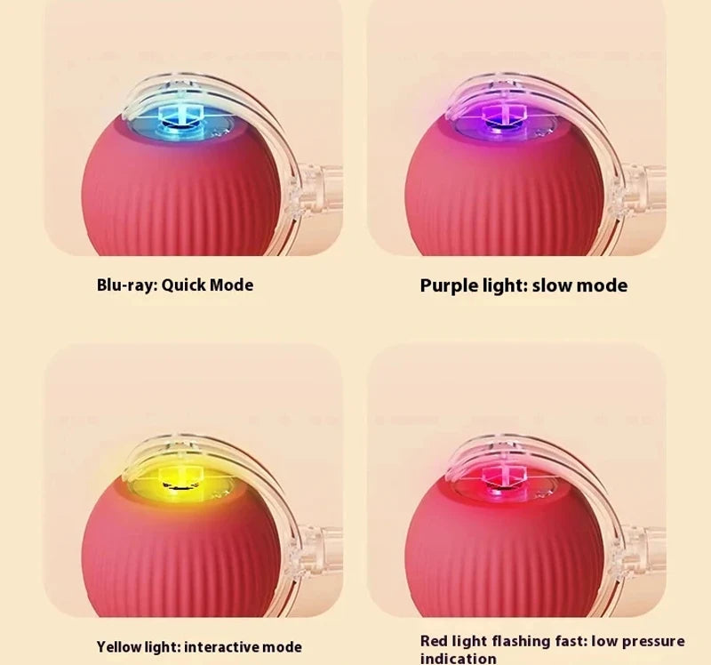 Balle Interactive Chat Automatique Rechargeable - Jouet Électrique Capteur | AccessoiresAnimals