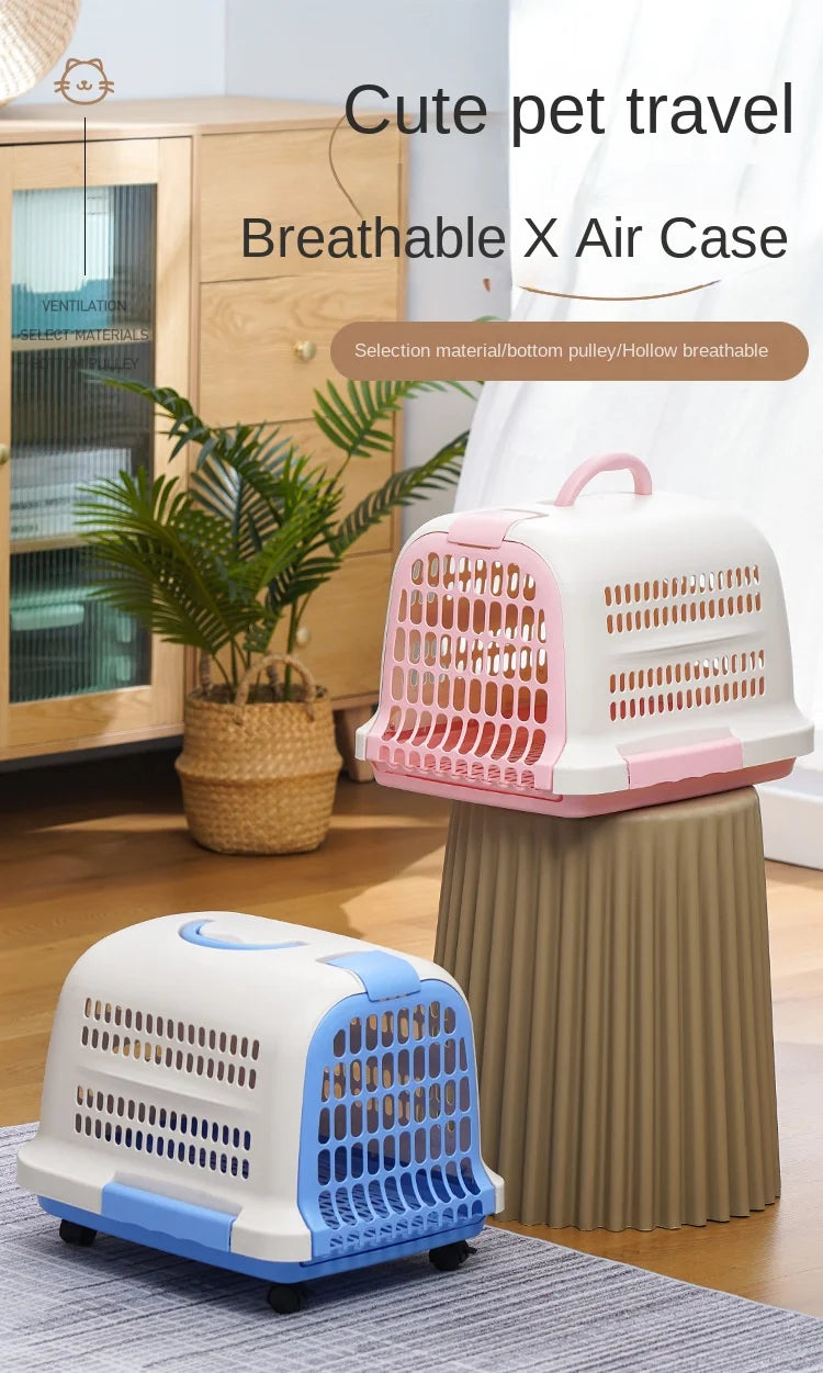 Cage Transport Plastique Chat Chien Portable Aviation - Boîte Voyage Voiture