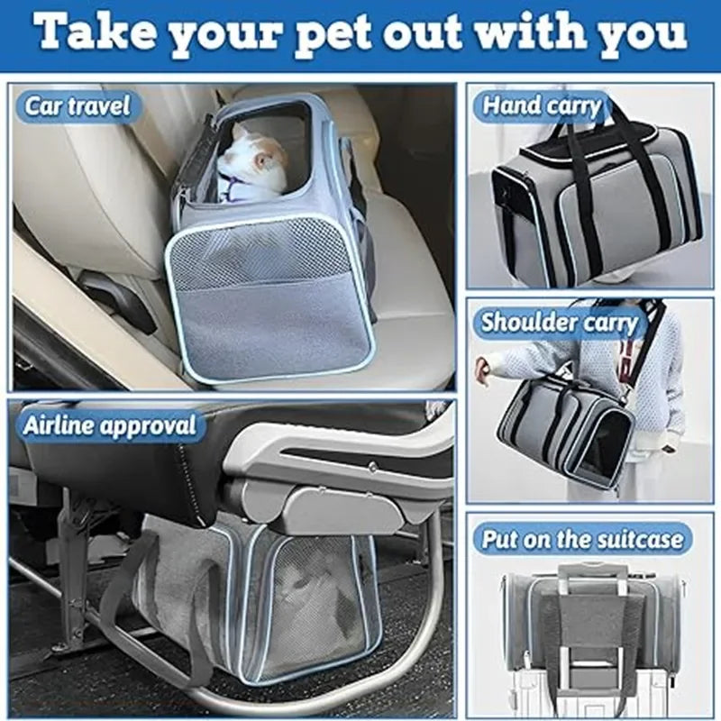 Sac à Dos de Transport pour Chat et Chien - Portable Respirant Pliable