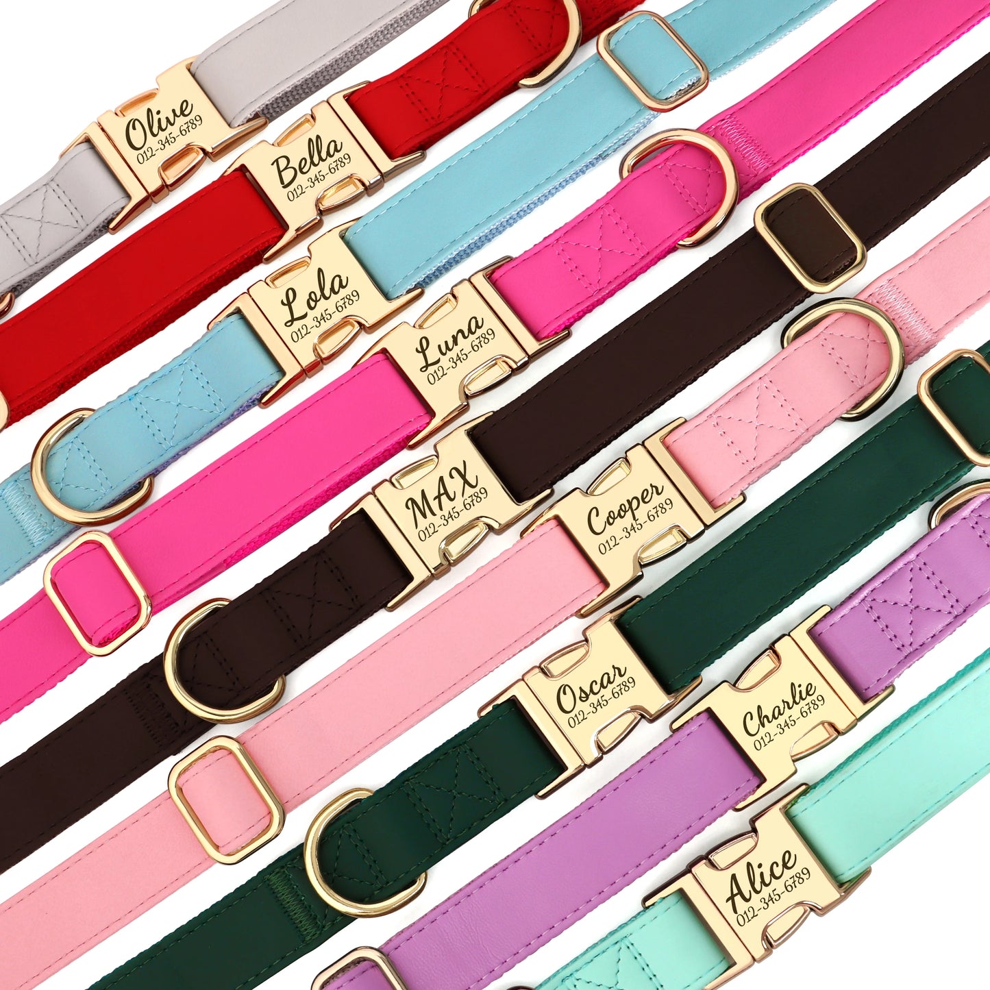 Collier Chien Personnalisé Cuir Gravure Gratuite - Anti-Perte Bulldog Carlin