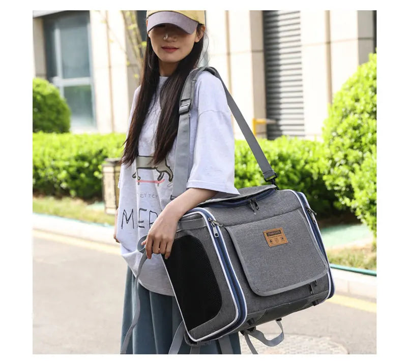 Sac Vélo Chat Chien Portable - Panier Transport Moto Extérieur