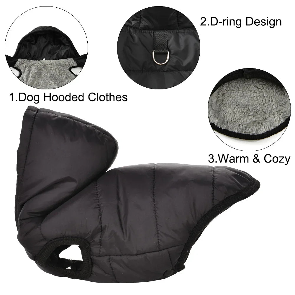 Veste Hiver Chien Chat Polaire à Capuche - Manteau Chaud Bulldog Chihuahua
