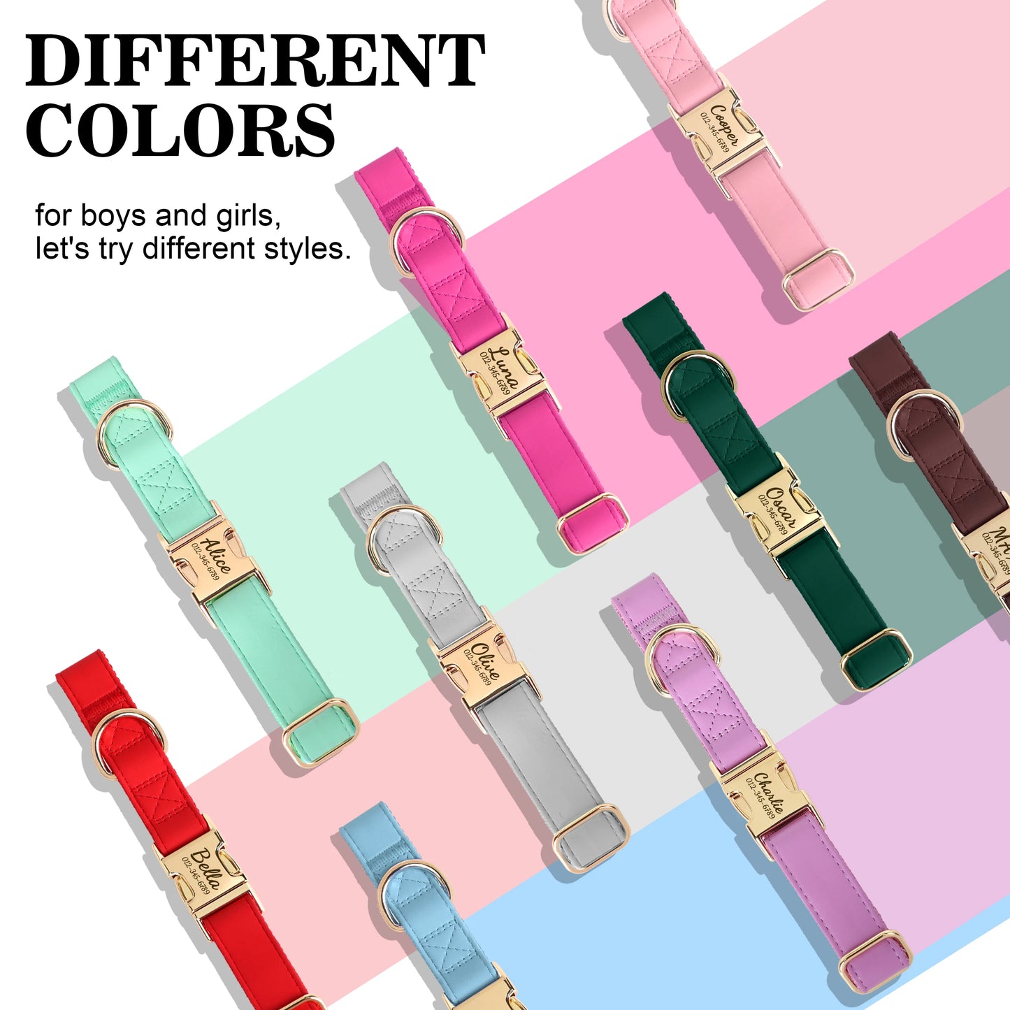 Collier Chien Personnalisé Cuir Gravure Gratuite - Anti-Perte Bulldog Carlin