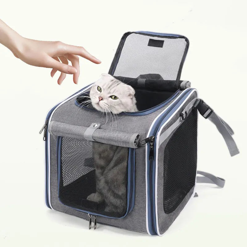 Sac Vélo Chat Chien Portable - Panier Transport Moto Extérieur