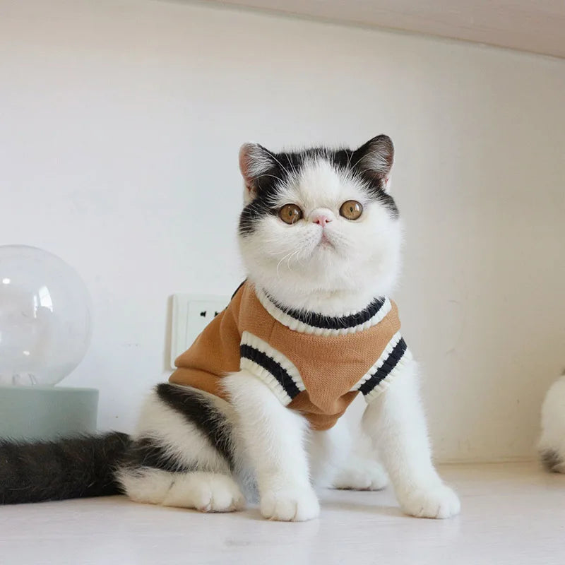 Suéter de invierno cálido para perros y gatos - Chaleco/Chaqueta para perros pequeños y gatitos | Accesorios para mascotas