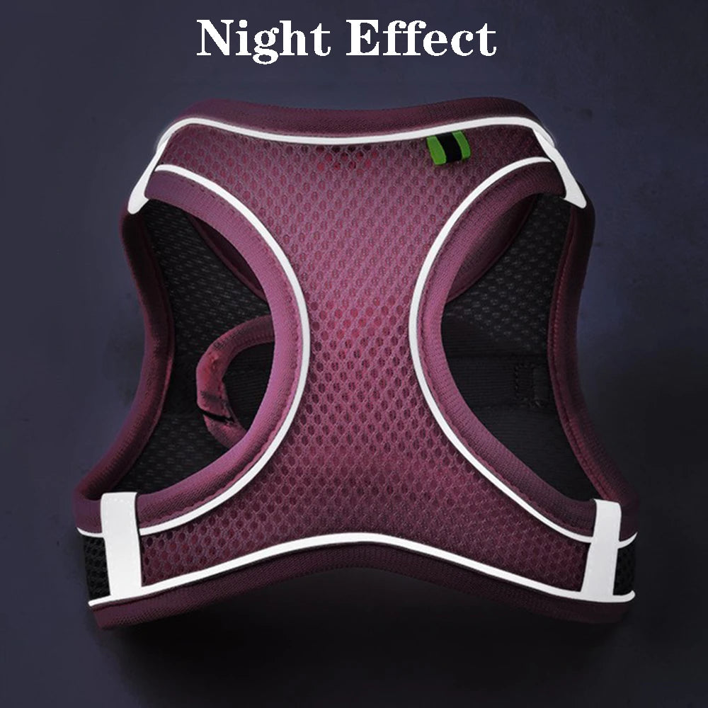 Harnais Chat Chien Gilet Réfléchissant Respirant Ajustable - Promenade | AccessoiresAnimals