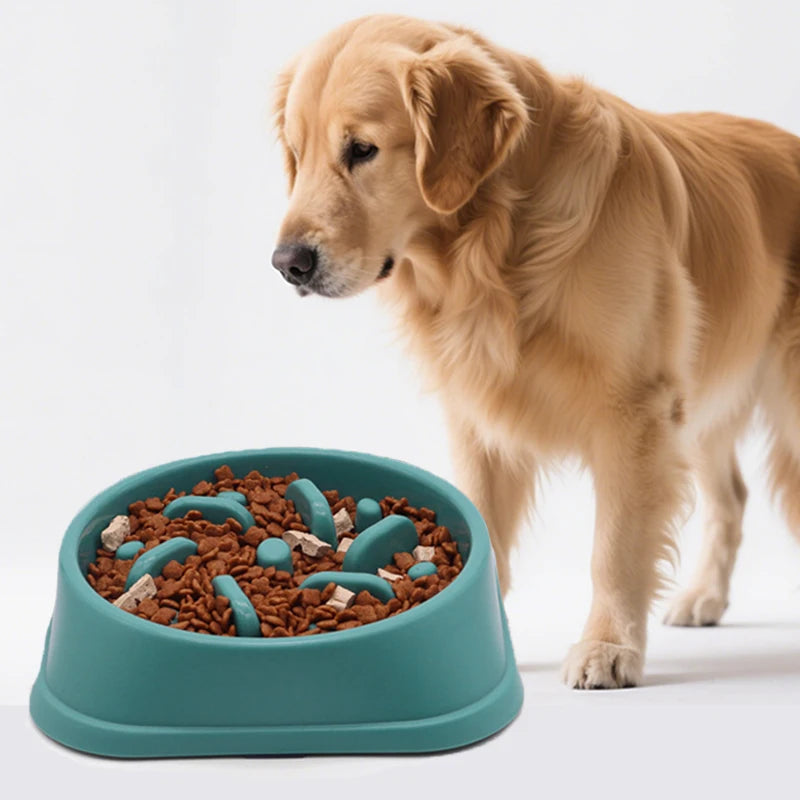 Gamelle Anti-Glouton Chien Puzzle - Bol Alimentation Lente Antidérapant