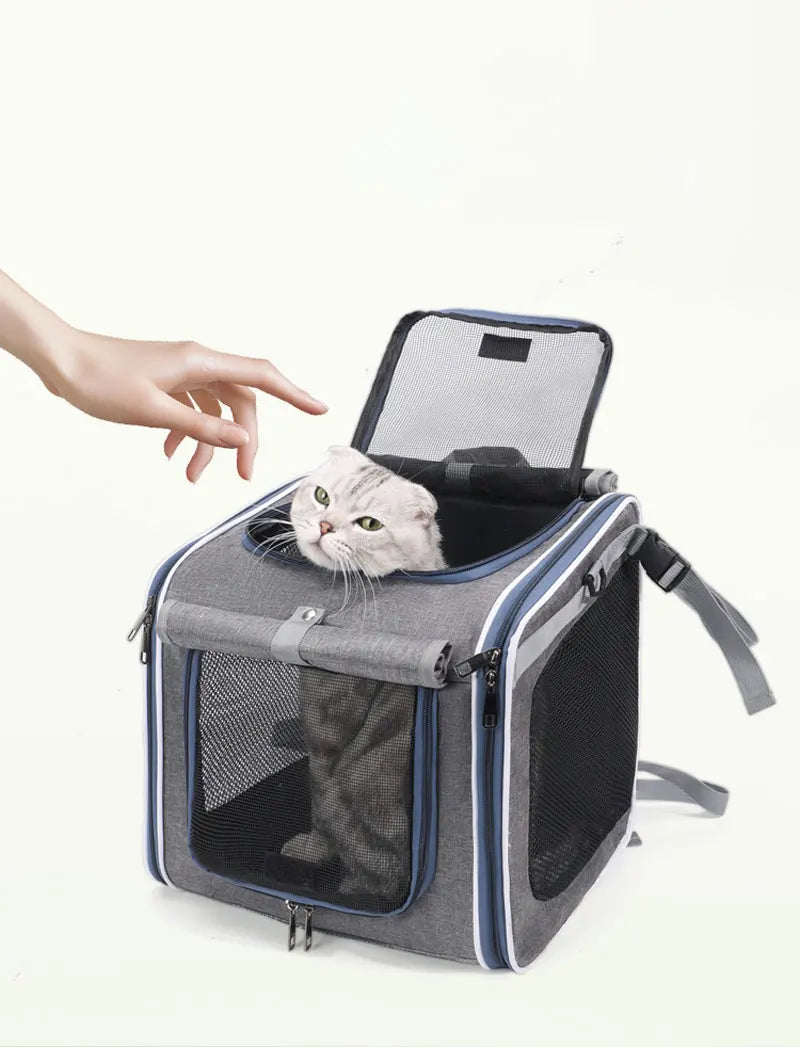 Sac Vélo Chat Chien Portable - Panier Transport Moto Extérieur