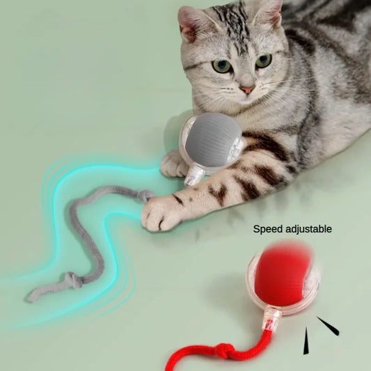 Balle Interactive Chat Automatique Rechargeable - Jouet Électrique Capteur | AccessoiresAnimals