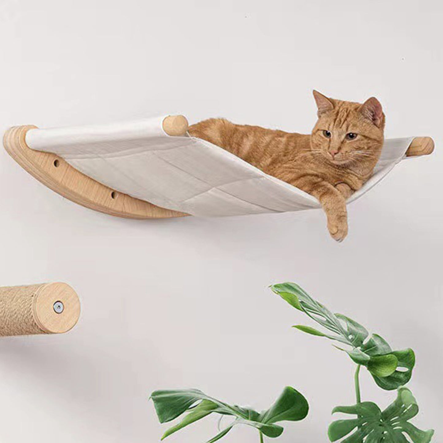 Étagère Murale Chat avec Hamac - Escalier Griffoir Arbre Activité