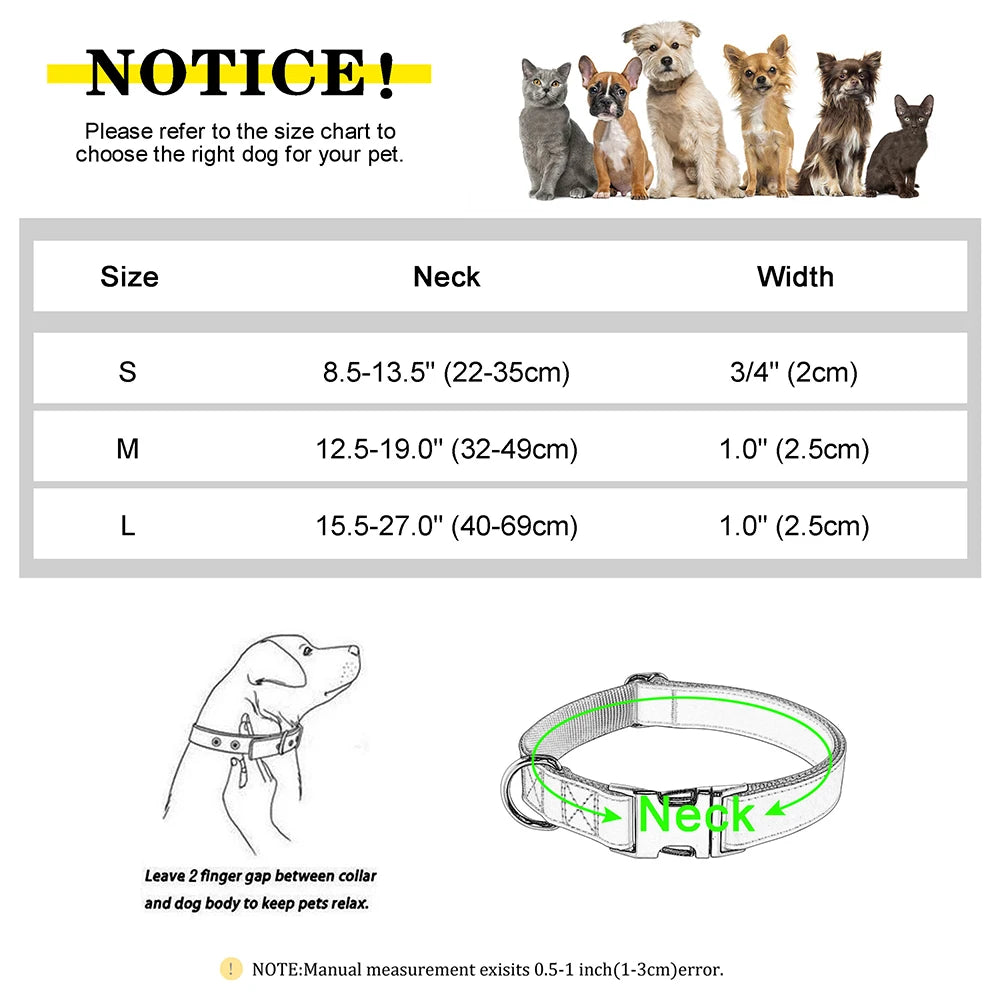 Collier Chien Personnalisé Cuir Gravure Gratuite - Anti-Perte Bulldog Carlin