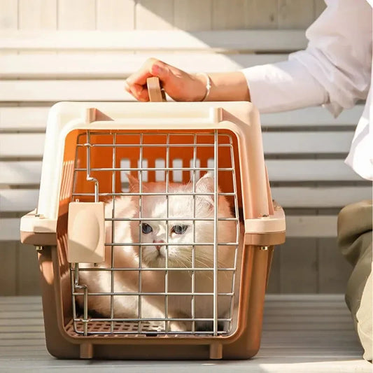 Cage Transport Chat Chien Portable Toit Articulé - Voyage Avion Voiture | AccessoiresAnimals